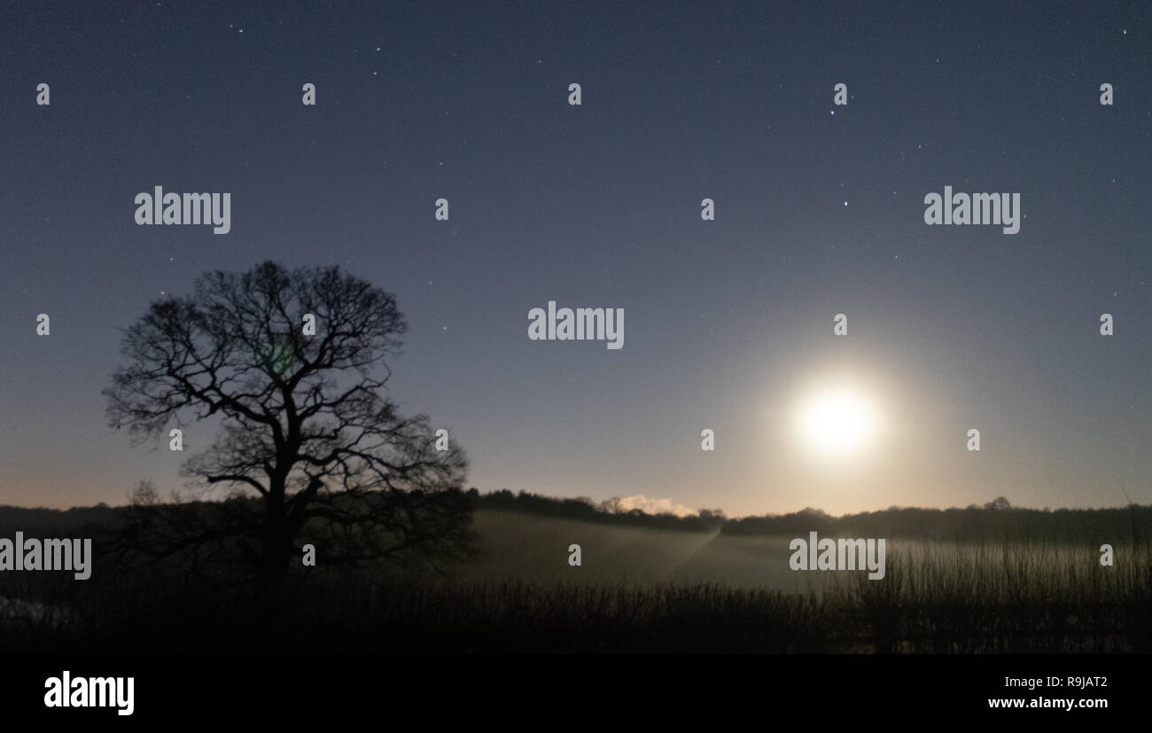 Moon light long exposure landscape with horizon and silhouetted tree(S) Stock Photo