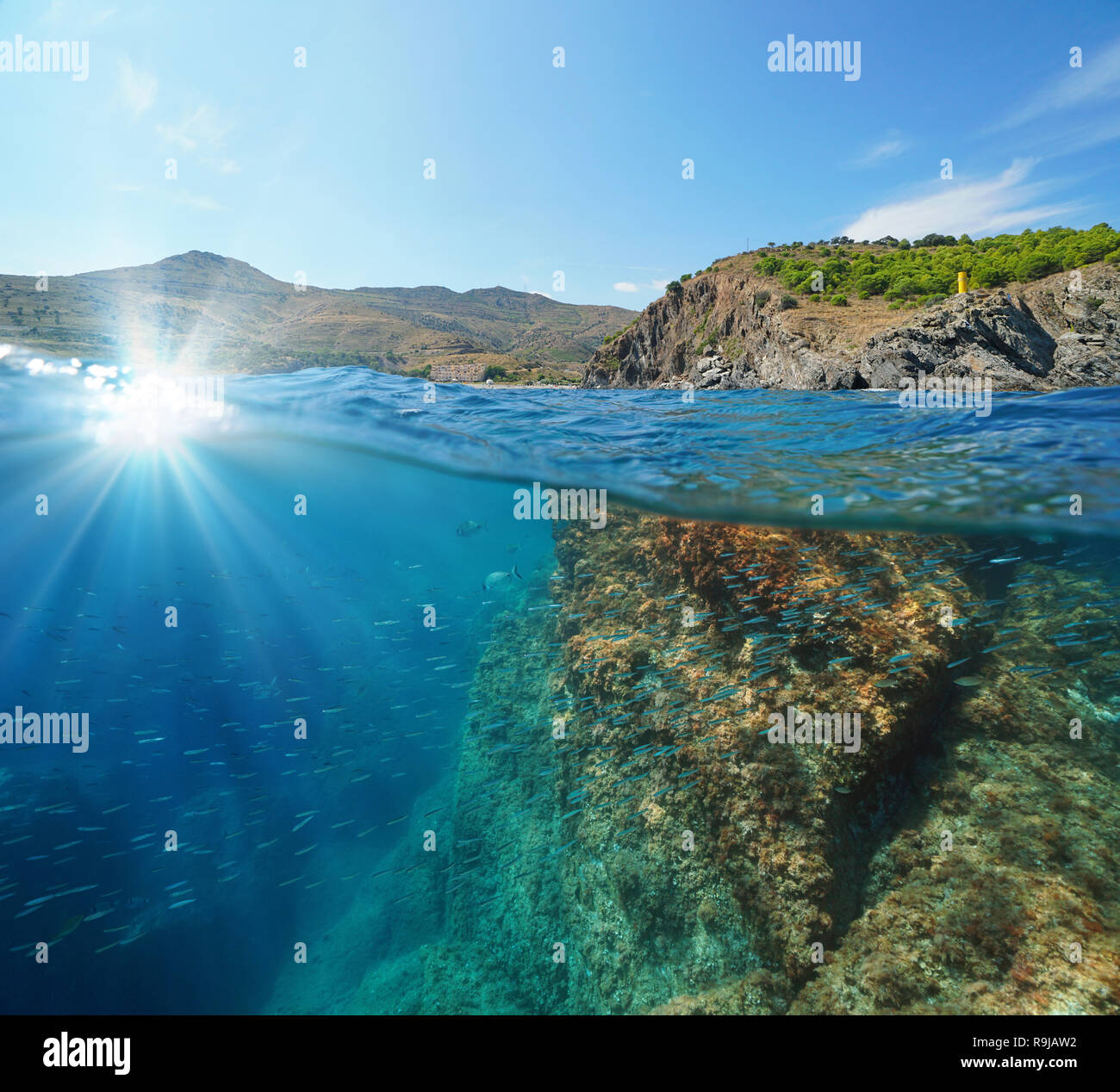 France Mediterranean sea rocky coast with sunlight and a school of fish underwater, split view half above and below sea surface, Pyrenees Orientales Stock Photo
