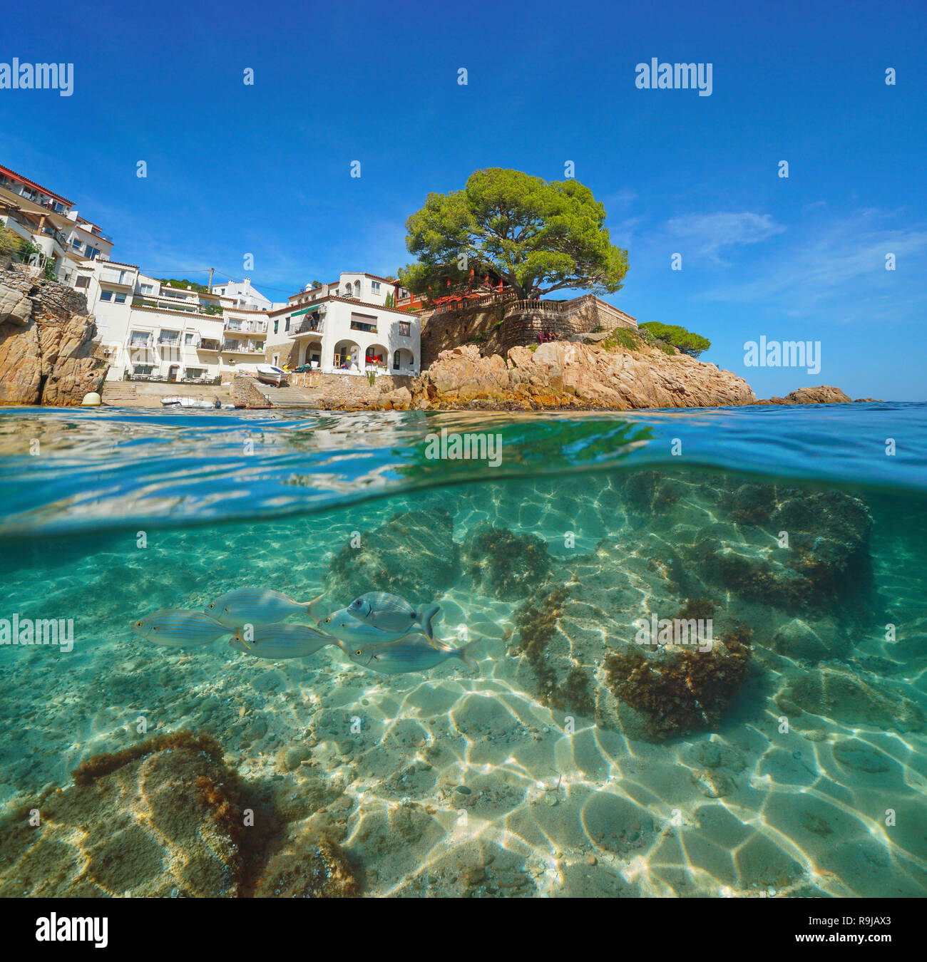 Spain Costa Brava picturesque Mediterranean village and fish underwater, Fornells de Mar, split view half above and below water surface, Begur Stock Photo