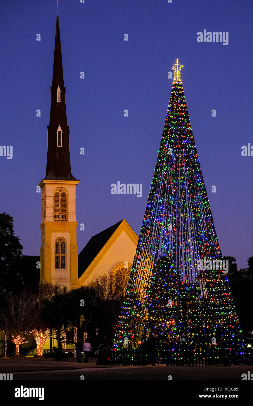 The Charleston City Christmas tree lights up at twilight in Marion