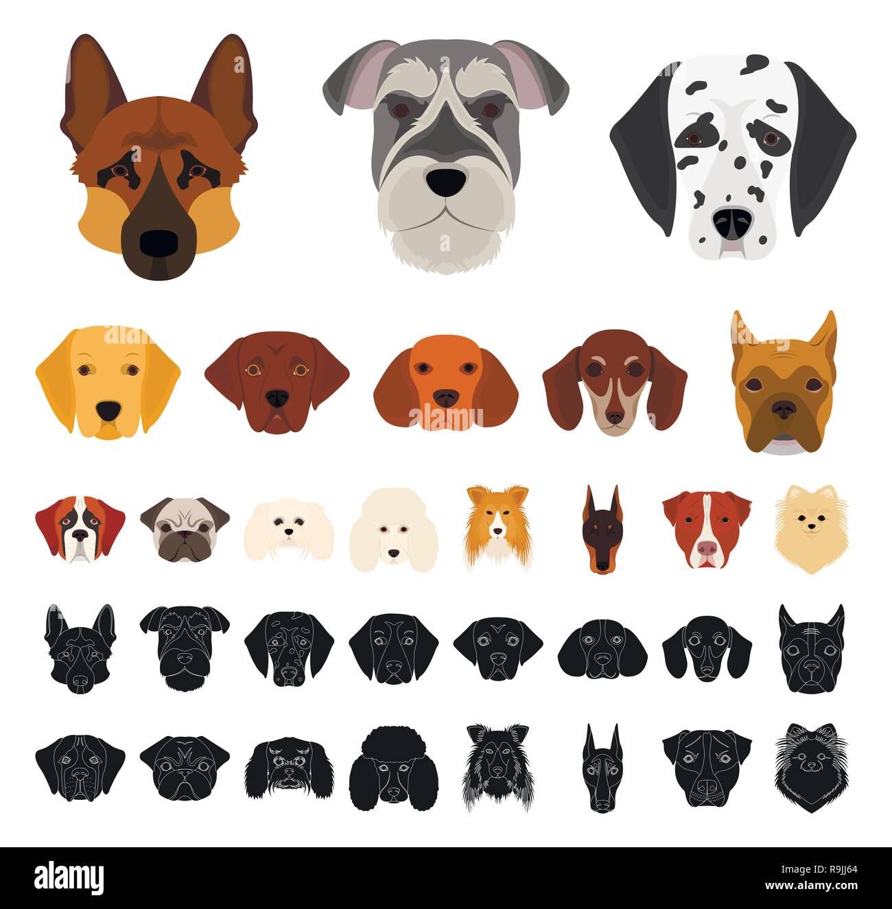 animal,beagle,bernard,boxer,breed,breeding,care,carnivorous,cartoon,black ,collection,collie,dachshund,dalmatian,decorative,design,different,doberman, dog,german  shepherd,golden,head,icon,illustration,isolated,lapdog,lobladore,logo,mammal,muzzle,official  ...
