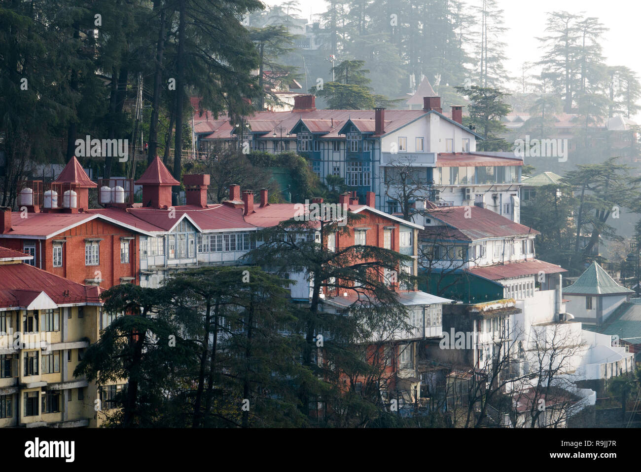 Tiered houses in Shimla, Himachal Pradesh, India Stock Photo Alamy