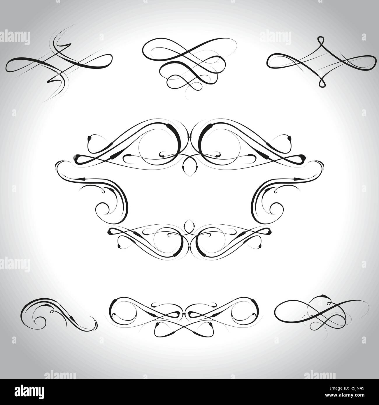 Calligraphic design elements and page decorations for design,vector illustration Stock Vector