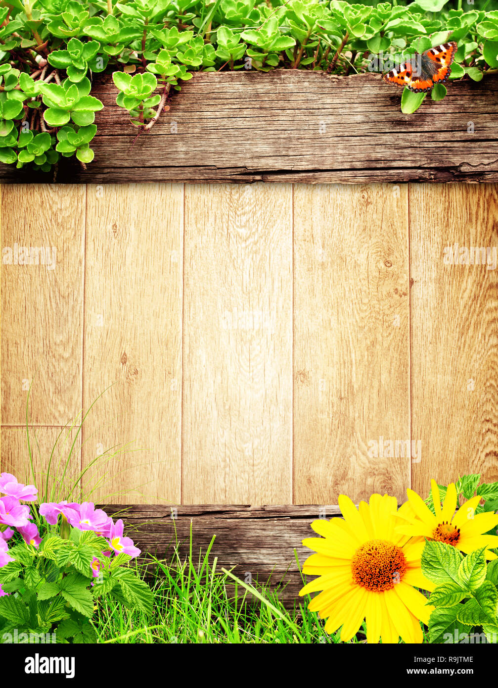 Summer background with old wooden plank, grass and green leaves Stock ...