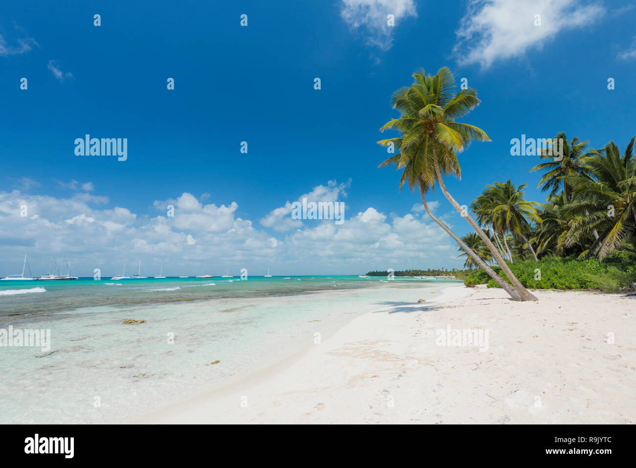Traumstrand der Karibik, Dream beach of the Caribbean Stock Photo