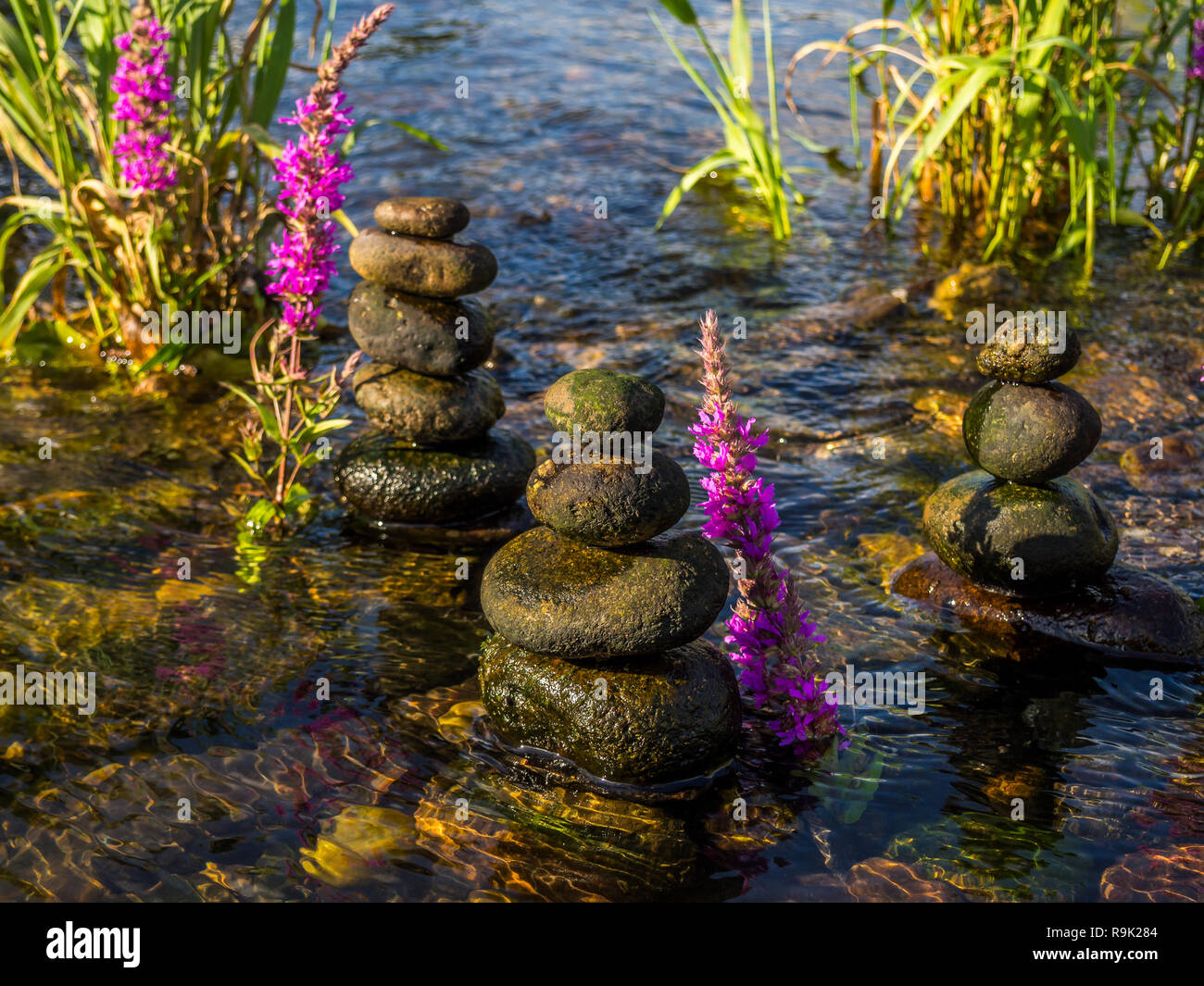 Balance Stones Massage Stock Photo Alamy
