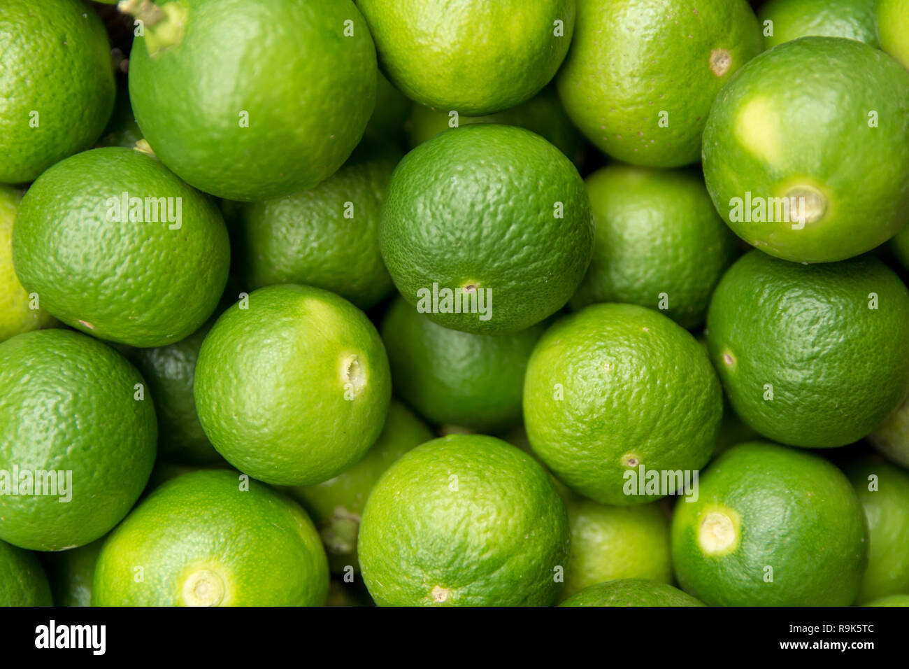Lime Citrus Fruits background. Fresh juicy limes. Healthy food Stock