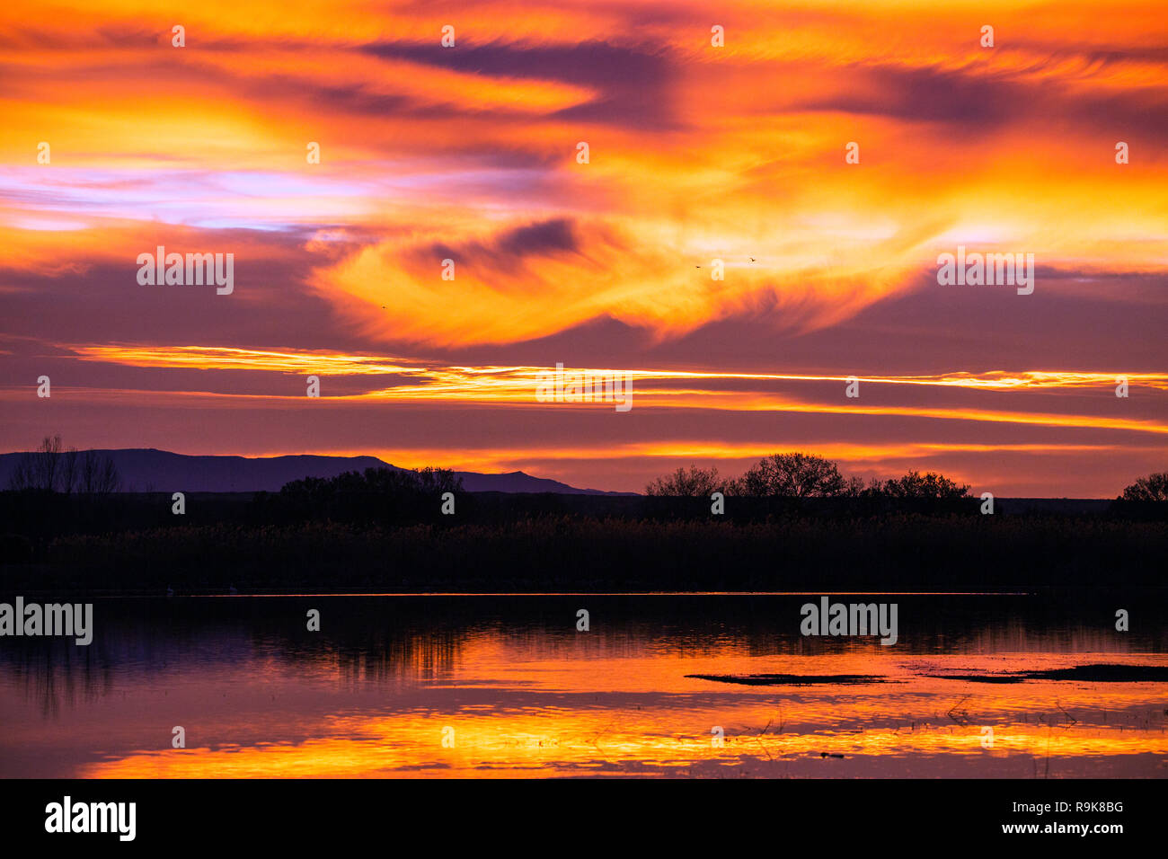 Bosque del apache desert hi-res stock photography and images - Alamy