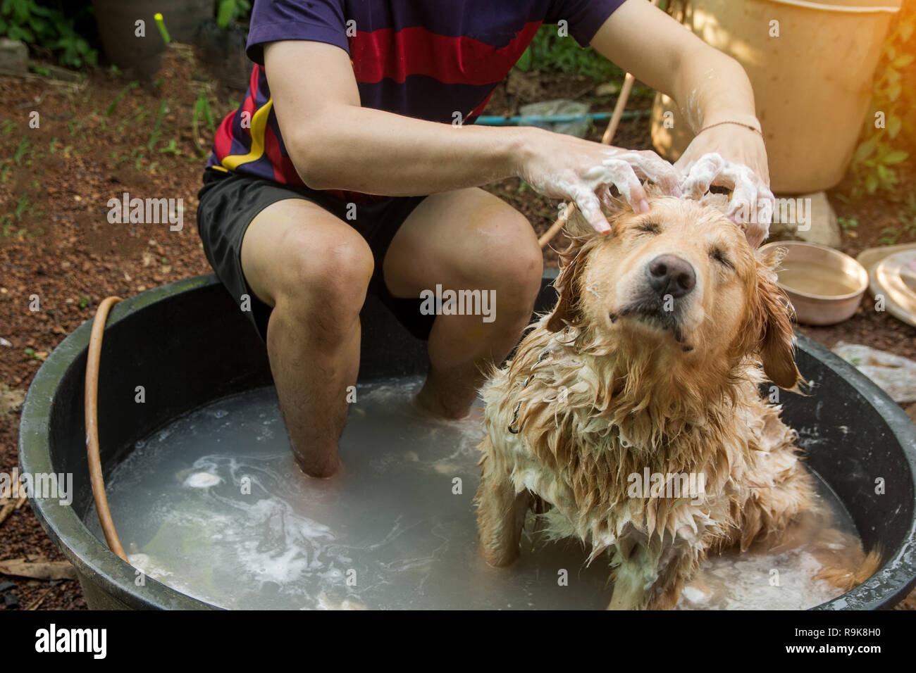 What Soap To Use To Wash A Dog