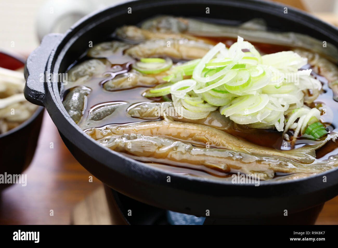 Dojo nabe, dojo loach hot pot, japanese traditional food Stock Photo