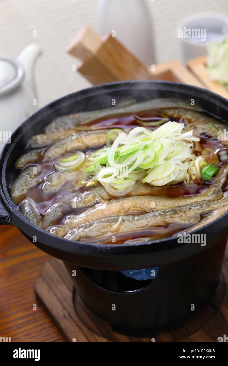 Dojo nabe, dojo loach hot pot, japanese traditional food Stock Photo