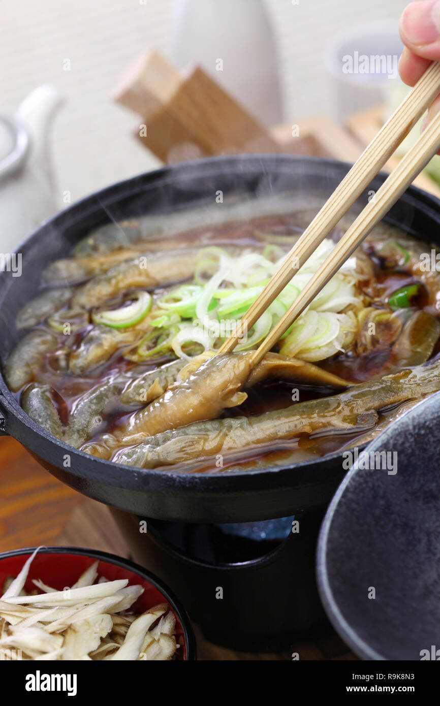 Dojo nabe, dojo loach hot pot, japanese traditional food Stock Photo
