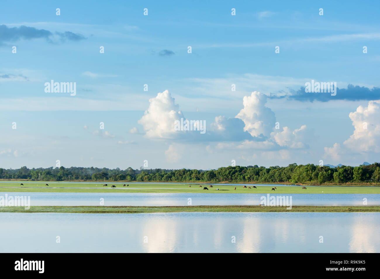 lake with cloudy blue sky background with copy space Stock Photo - Alamy