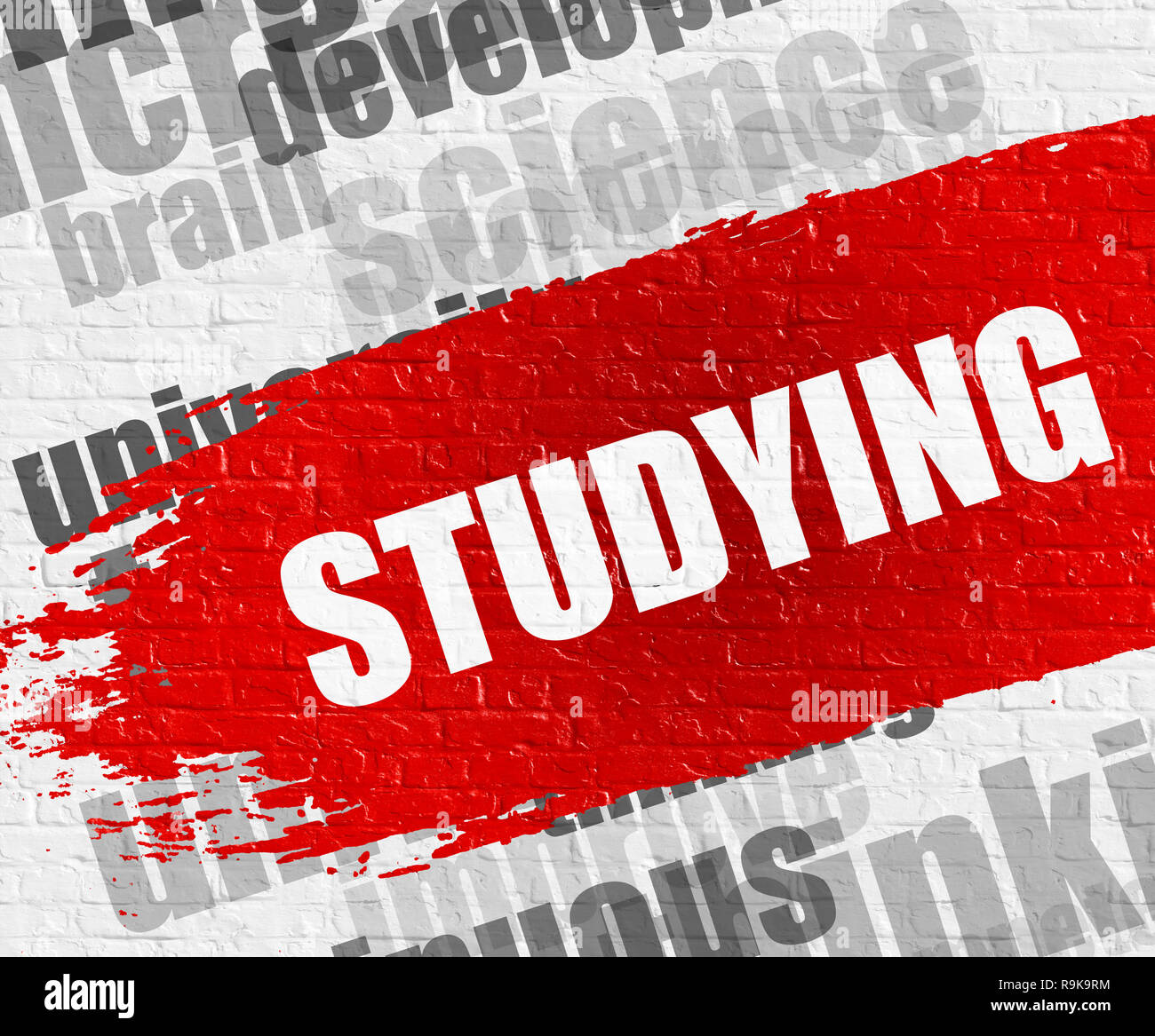 Education Concept: Studying on the Brickwall Background with Wordcloud Around It. Studying - on the Brick Wall with Word Cloud Around. Modern Illustra Stock Photo