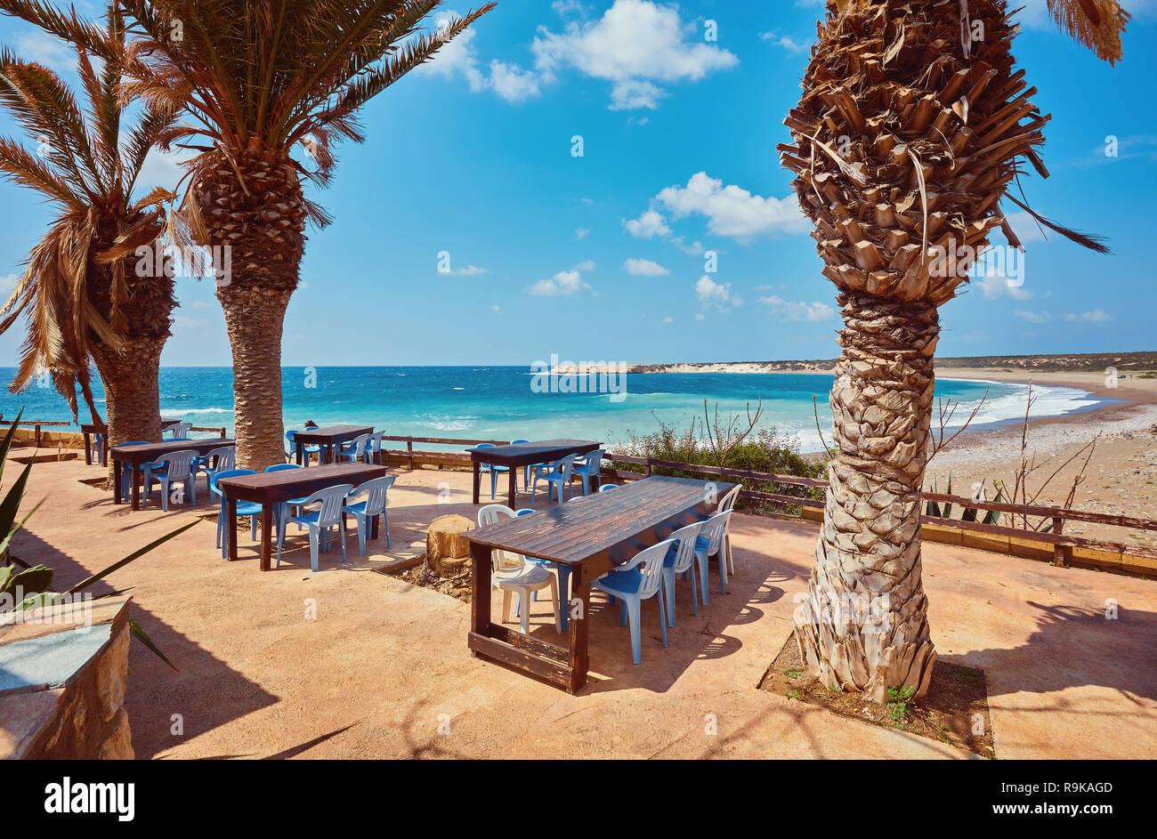 Tables and chairs in a cafe with palm trees on the beach Lara, Cyprus Stock Photo