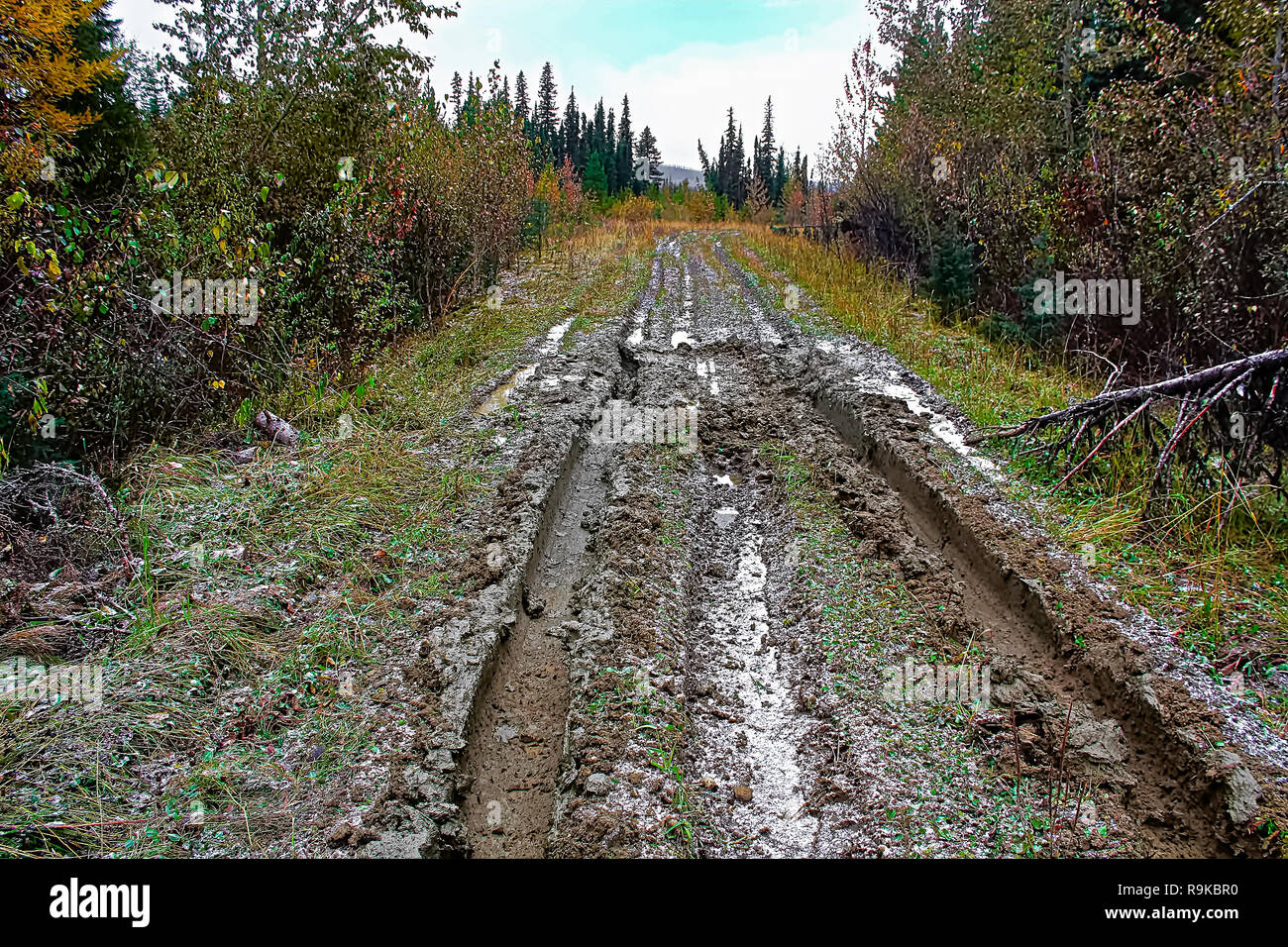 A muddy road with ruts in a cutline Stock Photo
