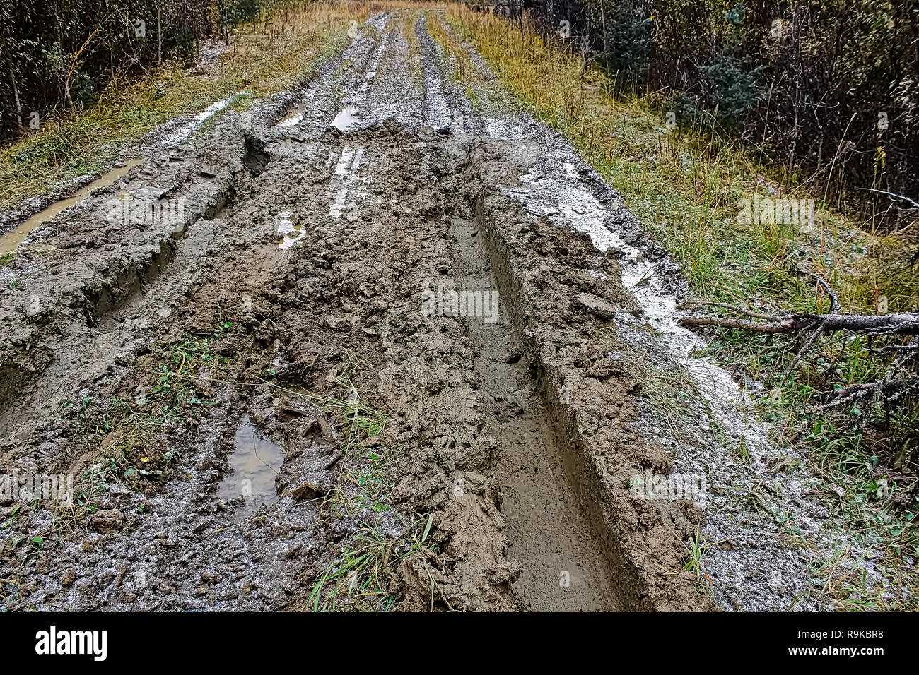 Closeup of a muddy road full of ruts Stock Photo