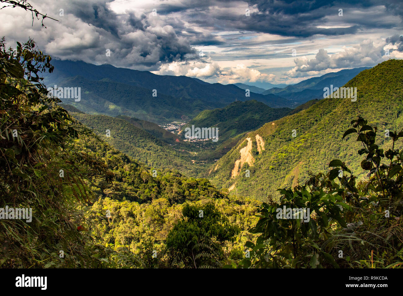 Viewpoint in Podocarpus National park, Ecuador Stock Photo