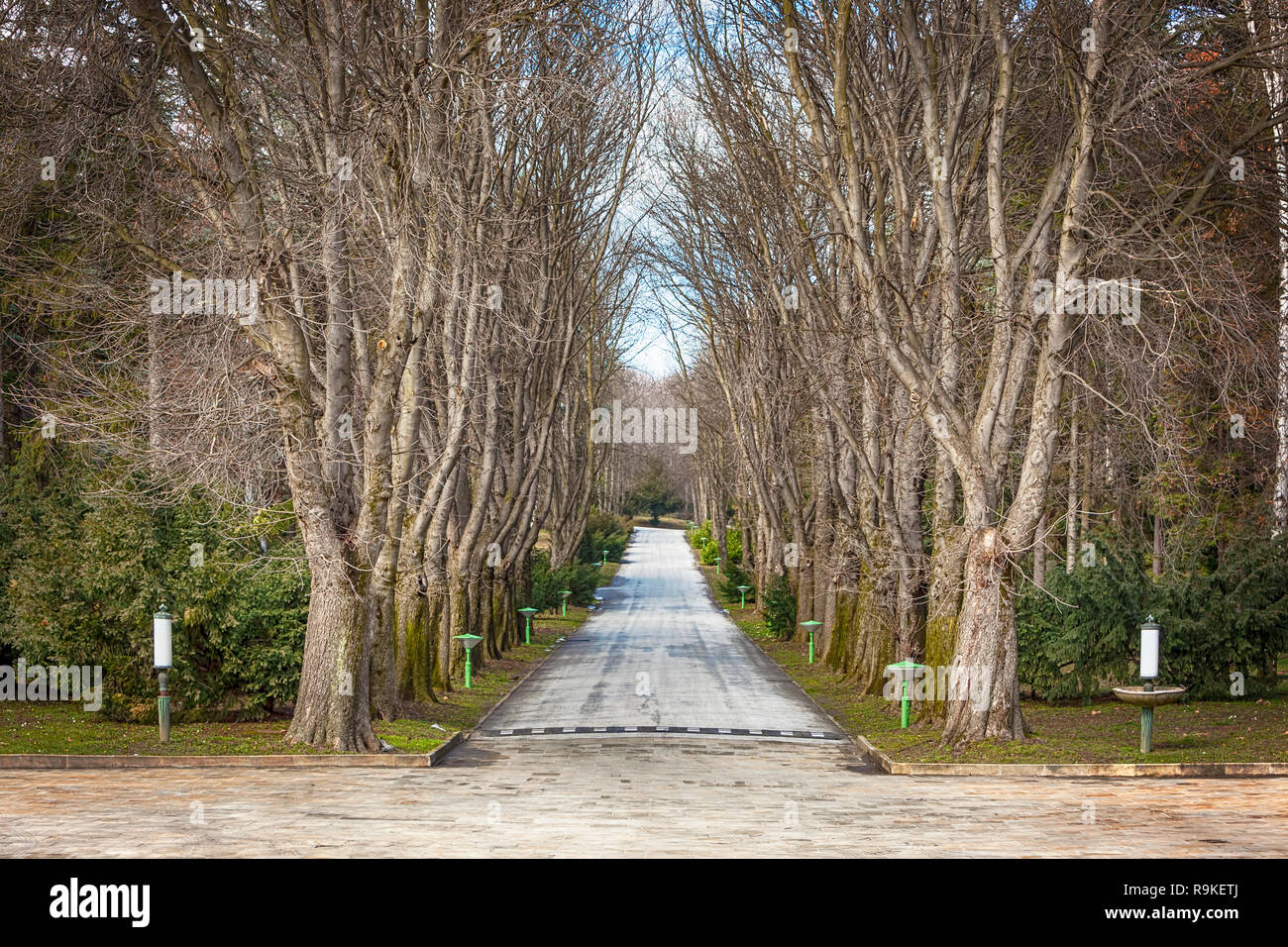 The path of red chestnut trees in autumn. In front of the The White Palace (Beli Dvor) within the same complex as The Royal Palace, the official resid Stock Photo