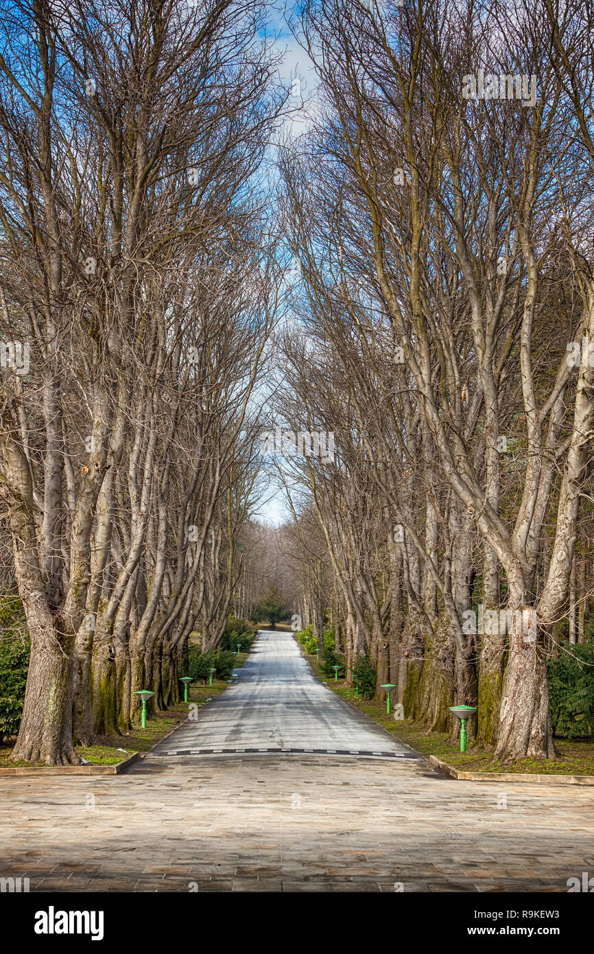 The path of red chestnut trees in autumn. In front of the The White Palace (Beli Dvor) within the same complex as The Royal Palace, the official resid Stock Photo