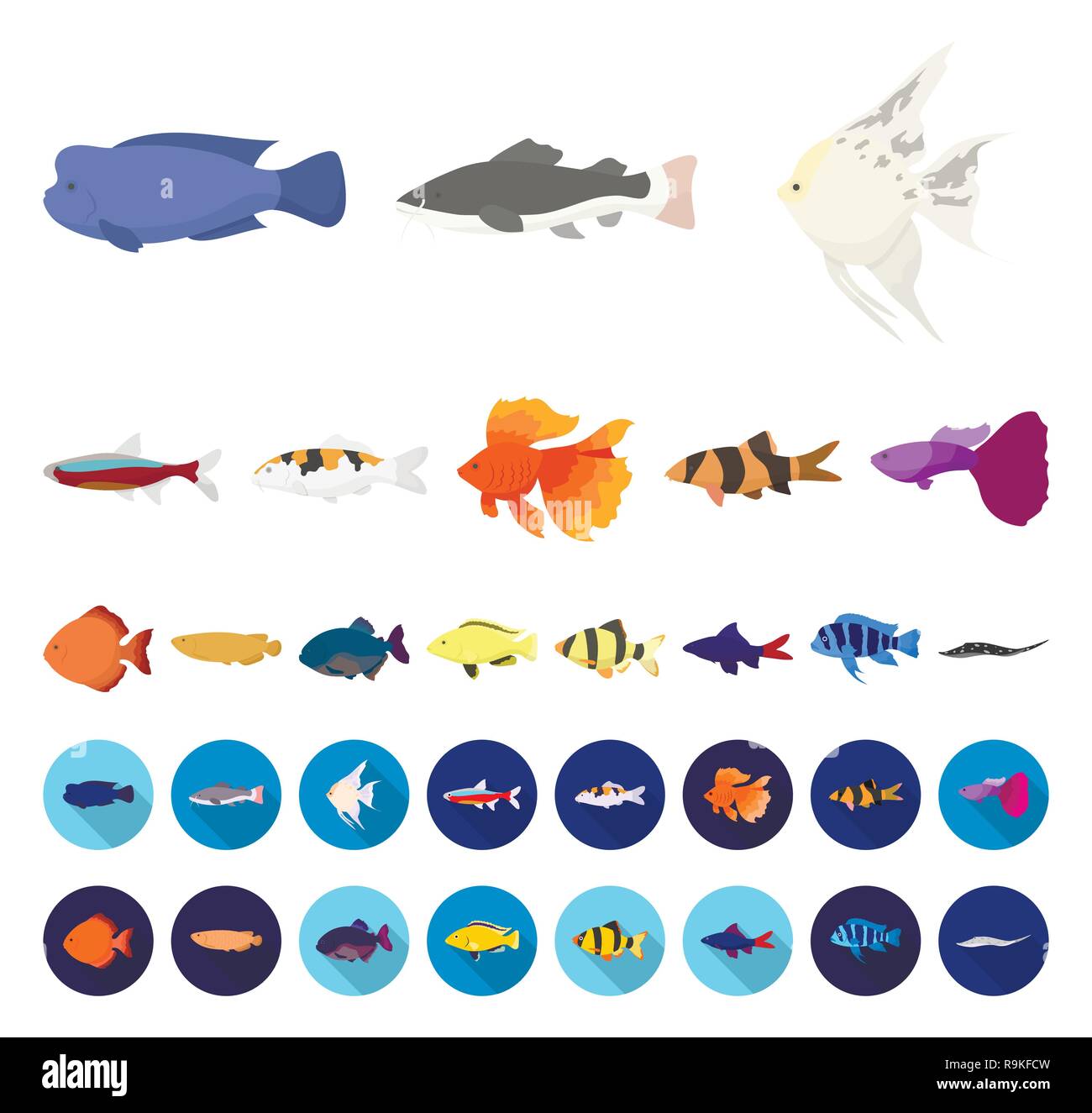 aquarium,axelrodi,barbus,bicolor,botia,cartoon,flat,collection,cyphotilapia,design,different,discus,fish,fotmosus,frontosa,gold,hemioliopterus,icon,illustration,isolated,koi,labeo,labidochromis,leopoldi,logo,macracantha,marine,nattereri,paracheirodon,phractocephalus,poecilia,potamotrygon,pterophyllum,pygocentrus,reticulata,river,scalare,scleropages,set,sign,stearocranus,symbol,tetrazona,tropical,type,vector,web Vector Vectors , Stock Vector