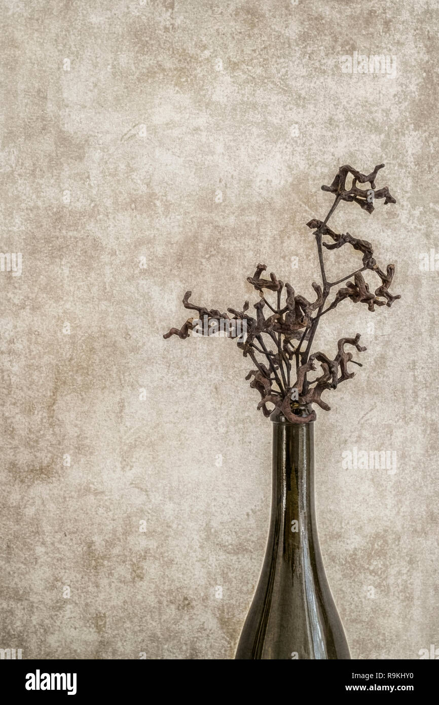 A bouquet of twigs and stems of the Candy Tree in a vase on a grunge wall background Stock Photo