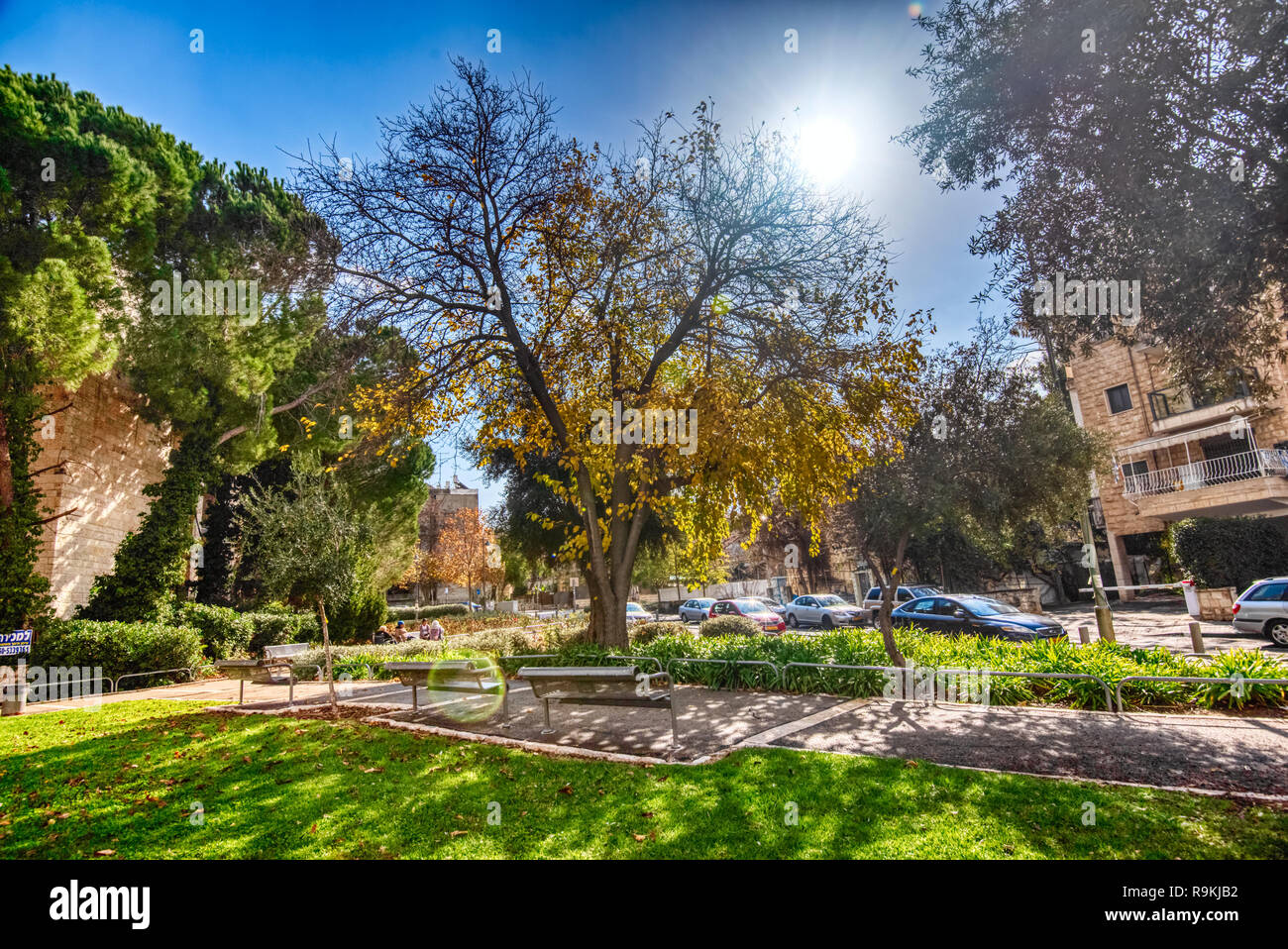 Beautiful Park in Israel west Jerusalem Nature At sunny Day at Fall Time Landscape Vibrant color in Nature Stock Photo