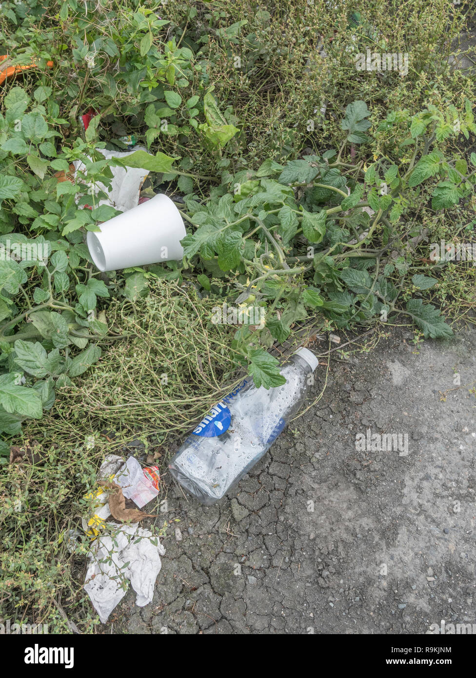 Polystyrene & plastic rubbish discarded in grassy urban back street. For plastic pollution, environmental pollution, war on plastic waste, takeaway. Stock Photo