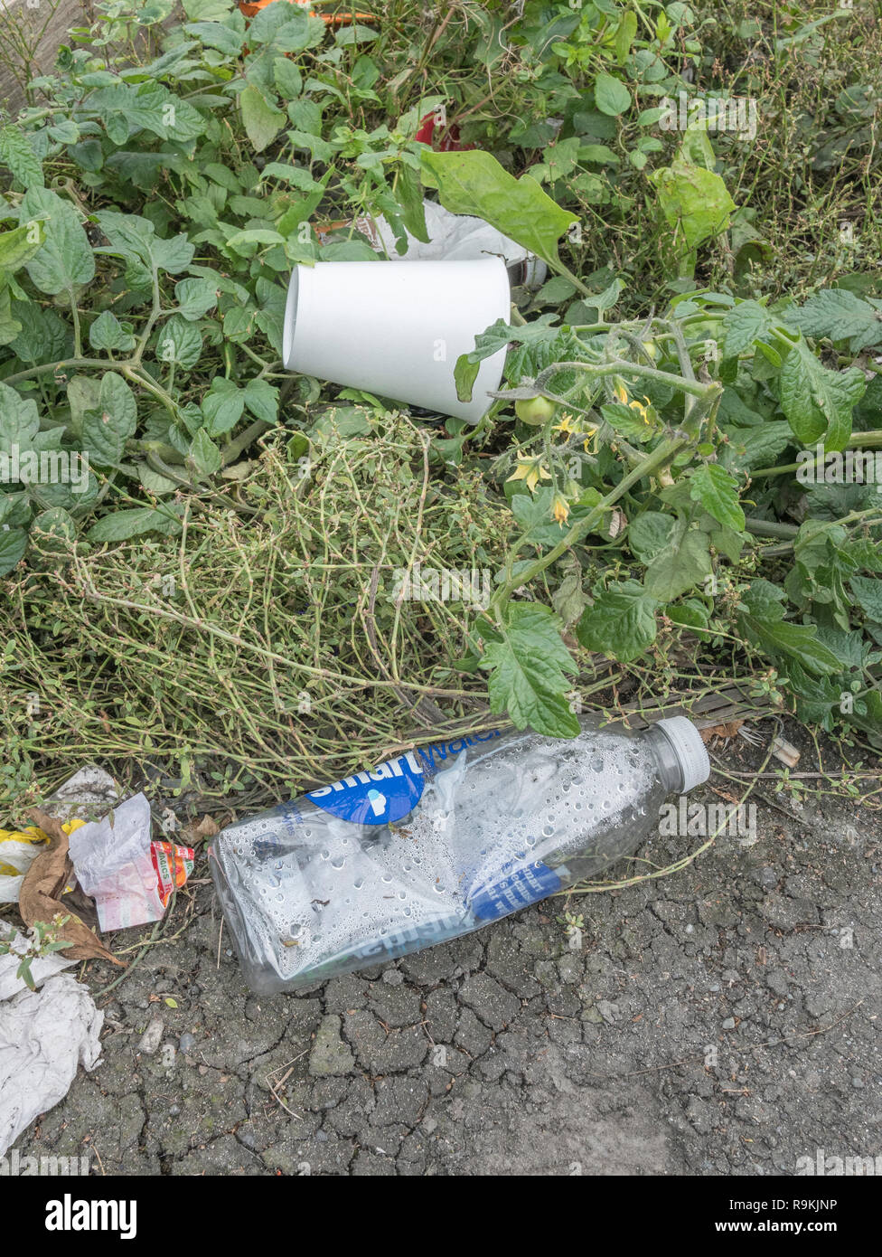 Polystyrene & plastic rubbish discarded in grassy urban back street. Metaphor plastic pollution, environmental pollution, war on plastic waste. Stock Photo