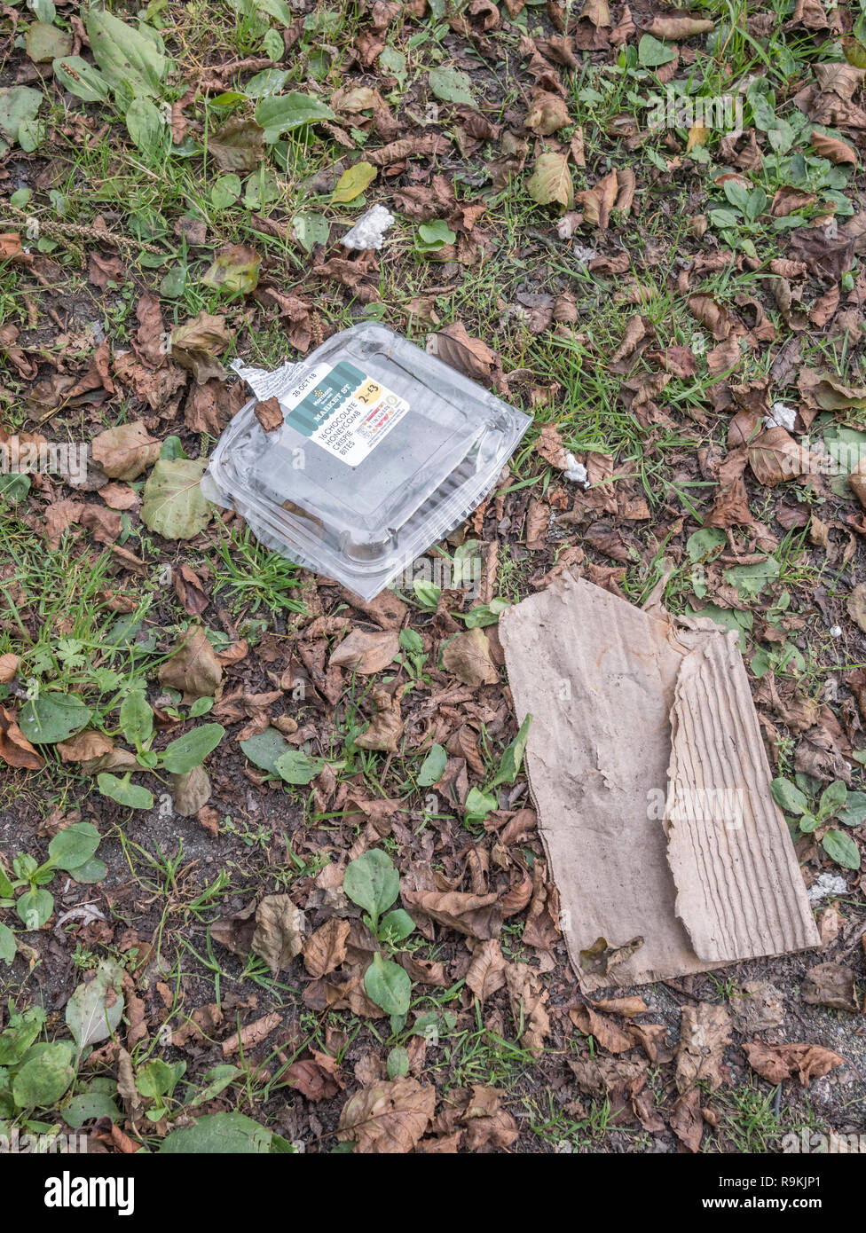 Plastic food wrapper discarded in rural hedgerow. Metaphor plastic pollution, environmental pollution, war on plastic waste, plastic rubbish. Stock Photo