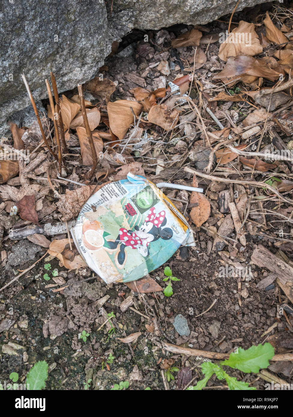 Soft drink pack with plastic straw discarded in urban area. Metaphor plastic pollution, environmental pollution, war on plastic waste. Stock Photo
