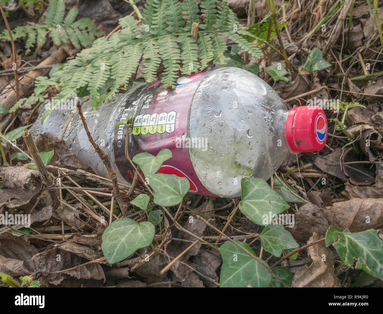 Empty PTFE plastic soft drink bottle discarded in rural hedgerow ditch. Metaphor plastic pollution, environmental pollution, war on plastic waste. Stock Photo