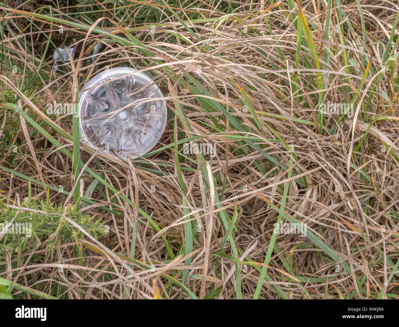 PTFE plastic soft drink bottle discarded in rural hedgerow ditch. Metaphor plastic pollution, environmental pollution, war on plastic waste. Stock Photo