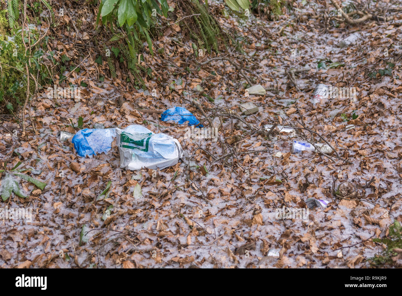 Plastic rubbish discarded in rural hedgerow ditch. Metaphor plastic pollution, environmental pollution, war on plastic waste, plastic rubbish. Stock Photo