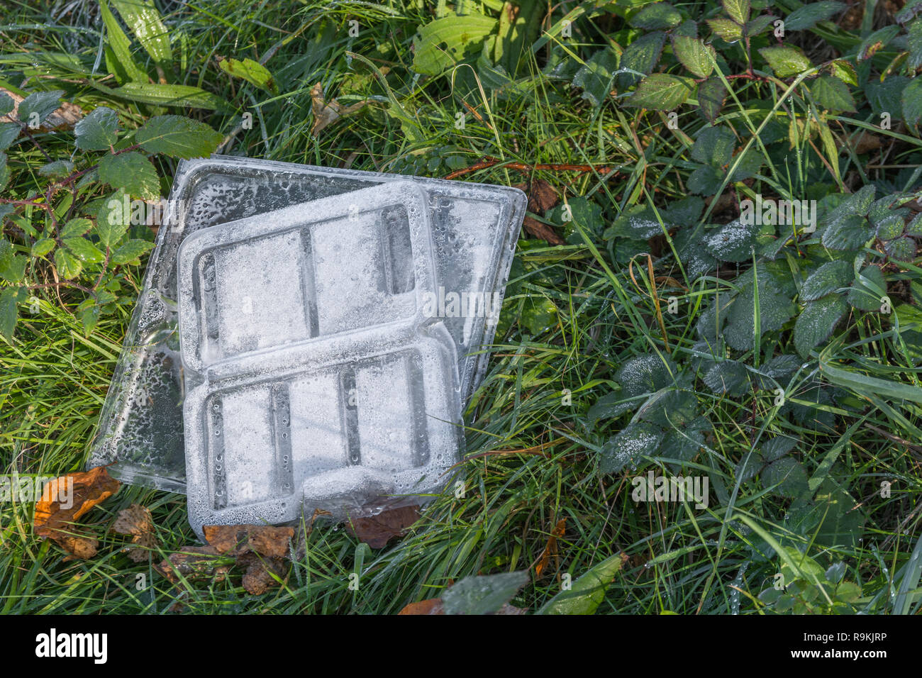PTFR plastic food wrapper discarded in rural hedgerow. Metaphor plastic pollution, environmental pollution, war on plastic waste, plastic rubbish. Stock Photo