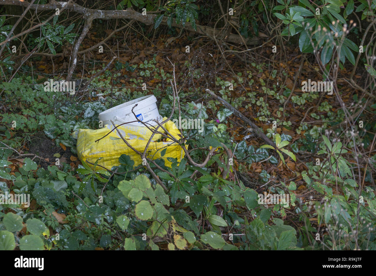 Plastic decorating gear discarded in rural hedgerow. Metaphor on war on plastic, plastic pollution, plastic rubbish, Clean Up Britain campaign. Stock Photo