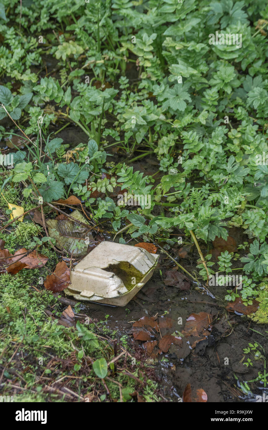 Polystyrene takeaway food box in rural hedgerow ditch. Plastic pollution, takeaway food packaging, environmental pollution, single-use plastic ban. Stock Photo