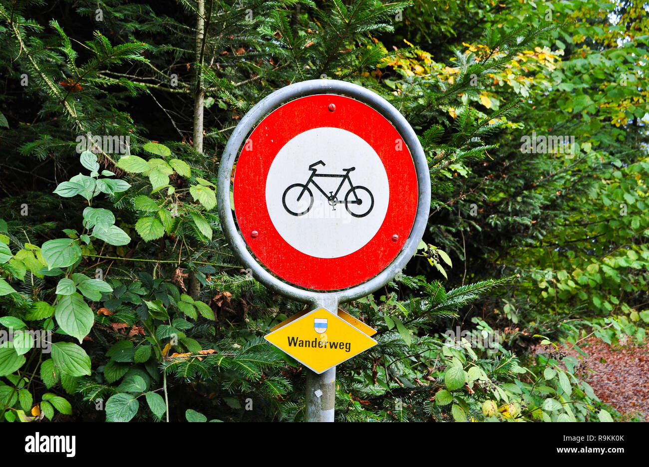 driving ban Stock Photo Alamy