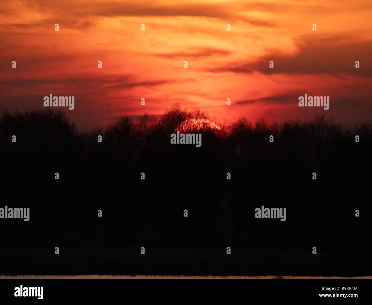 closeup top of red sun at sunset over trees silhouette with vivid red orange sky. low key image Stock Photo