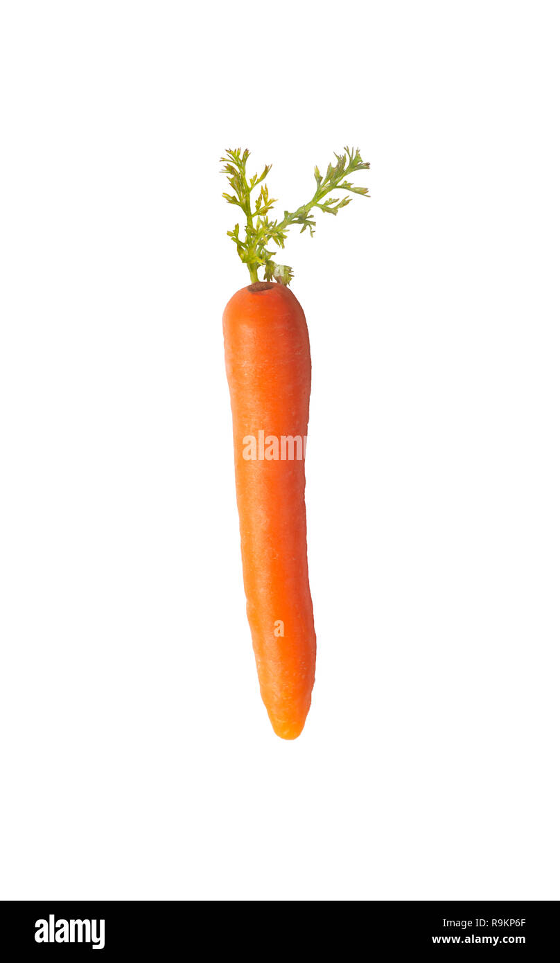 Perfect Carrot Stock Photo