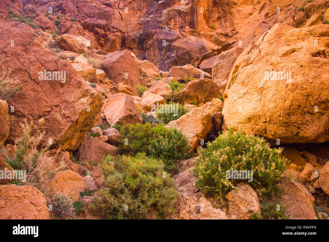 Great African Rocky Slope Todgha Gorge Canyon Landscapes At High Atlas Mountains Range At Dades Rivers Near Tinghir Town Tinghir Morocco In Afrika Stock Photo Alamy