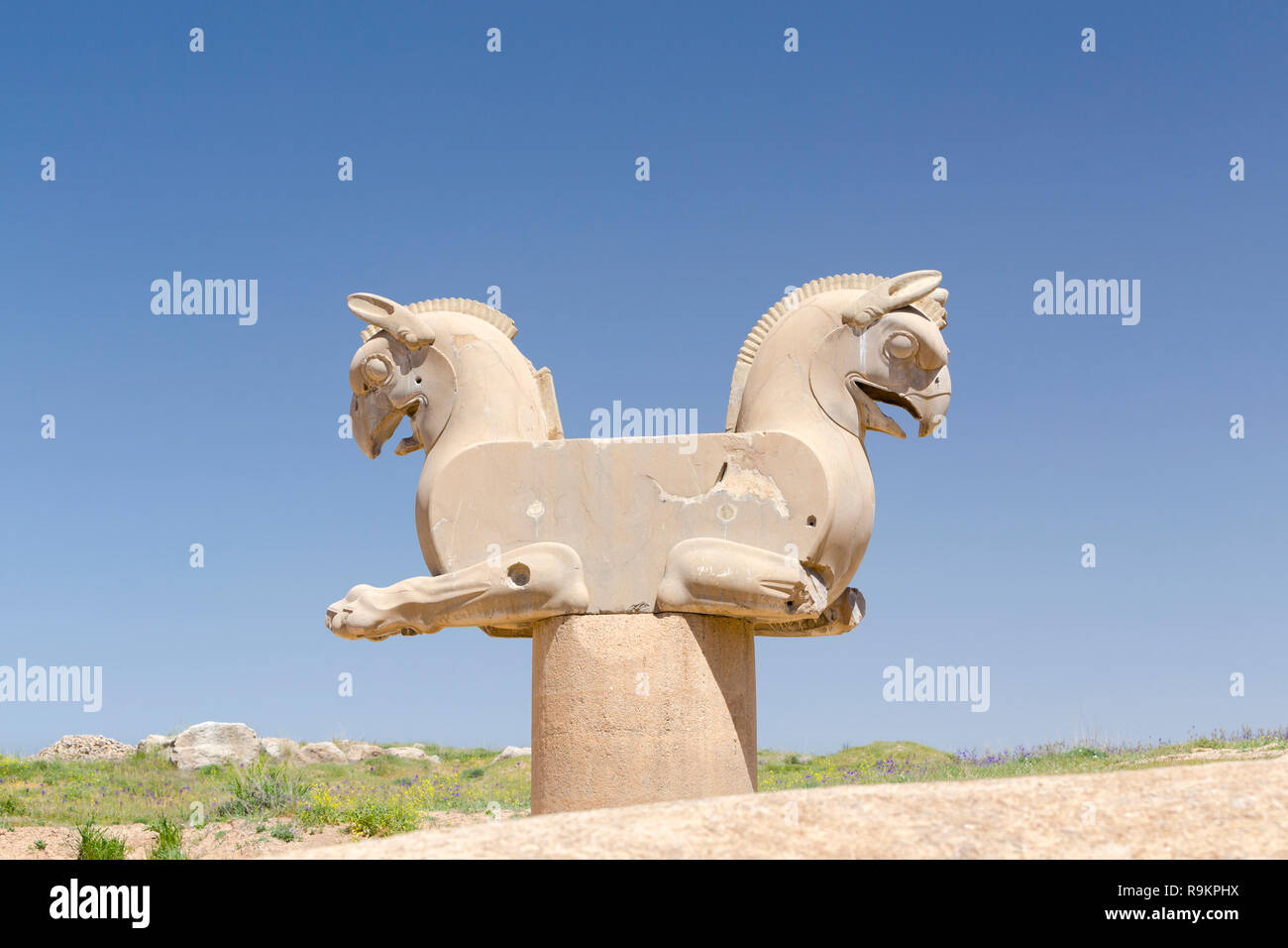 The eagle griffin or Homa, Persepolis, Iran Stock Photo