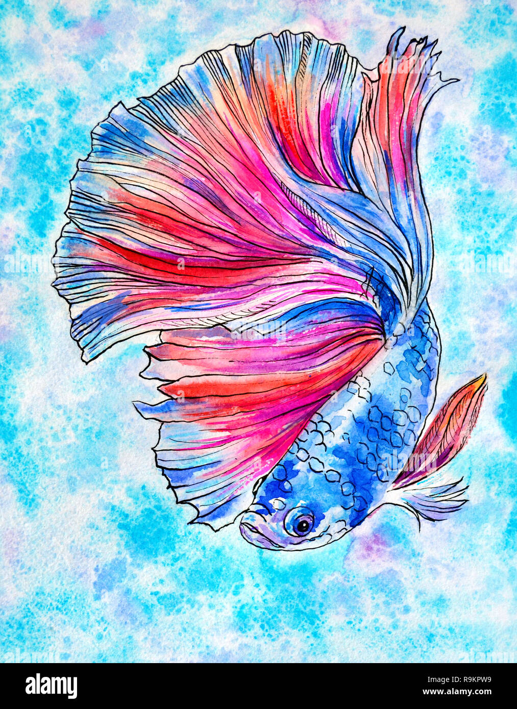 https://c8.alamy.com/comp/R9KPW9/blue-colored-magic-fish-swims-on-a-turquoise-background-illustration-drawn-in-watercolor-and-ink-R9KPW9.jpg