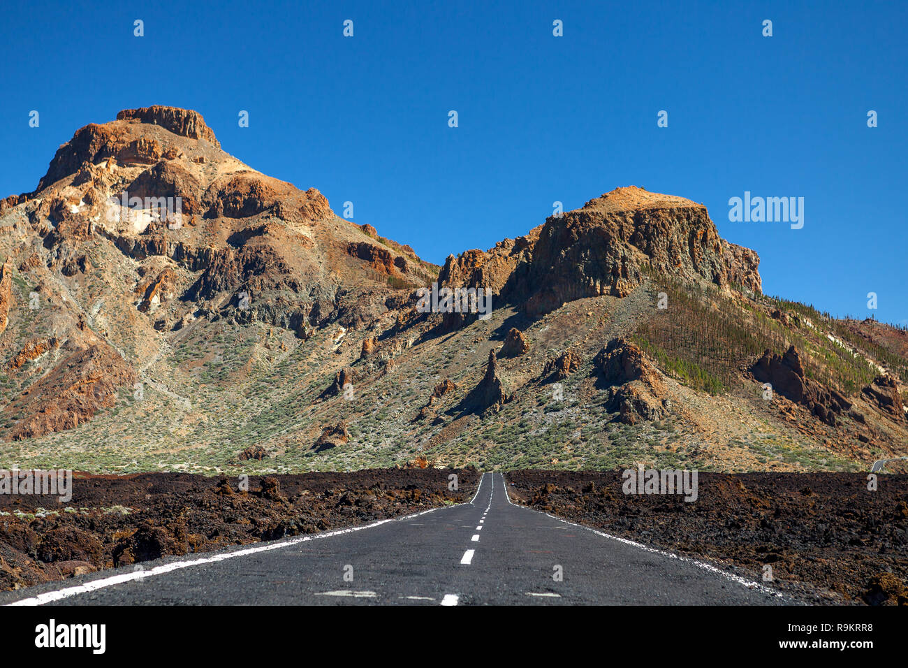 Road in Tenerife National Park. Canary Islands, Spain Stock Photo