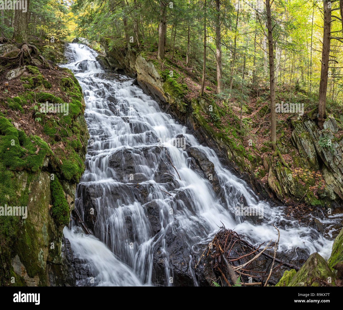 Cascade of Thundering Brook Falls, Green Mountain National Forest