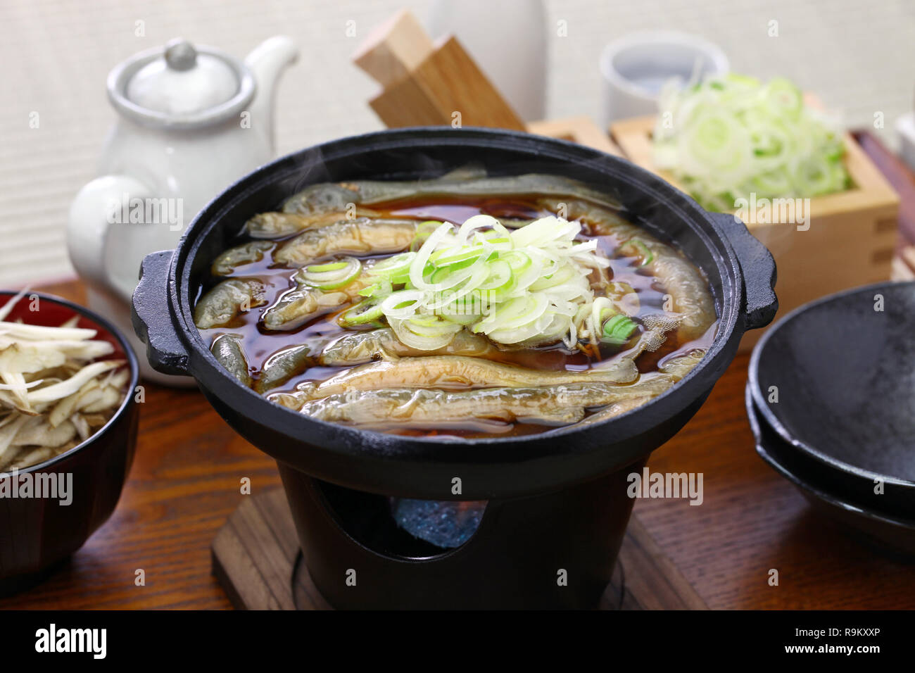 Dojo nabe, dojo loach hot pot, japanese traditional food Stock Photo