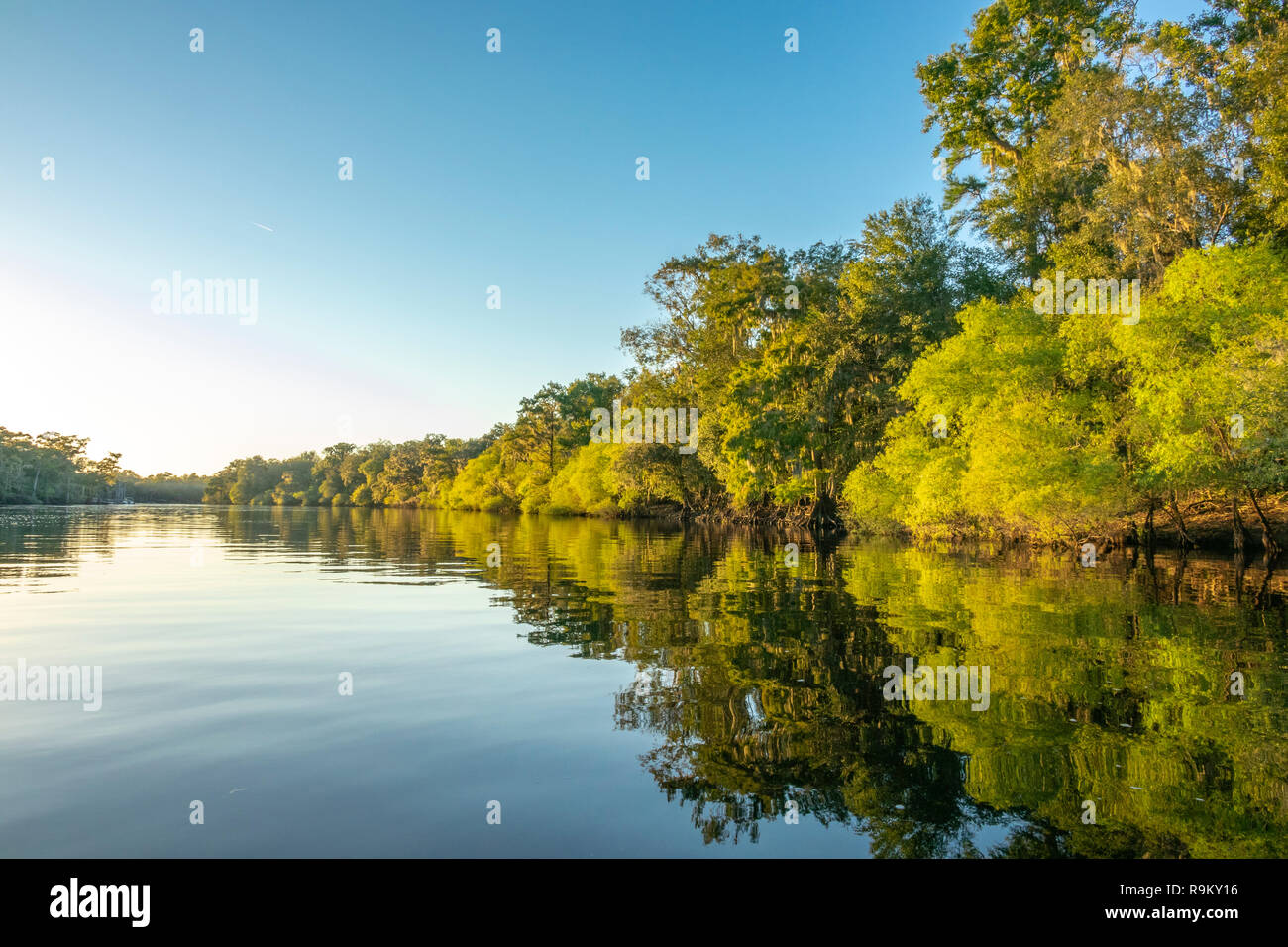 Suwanneee River, Gilchrist County, Florida Stock Photo