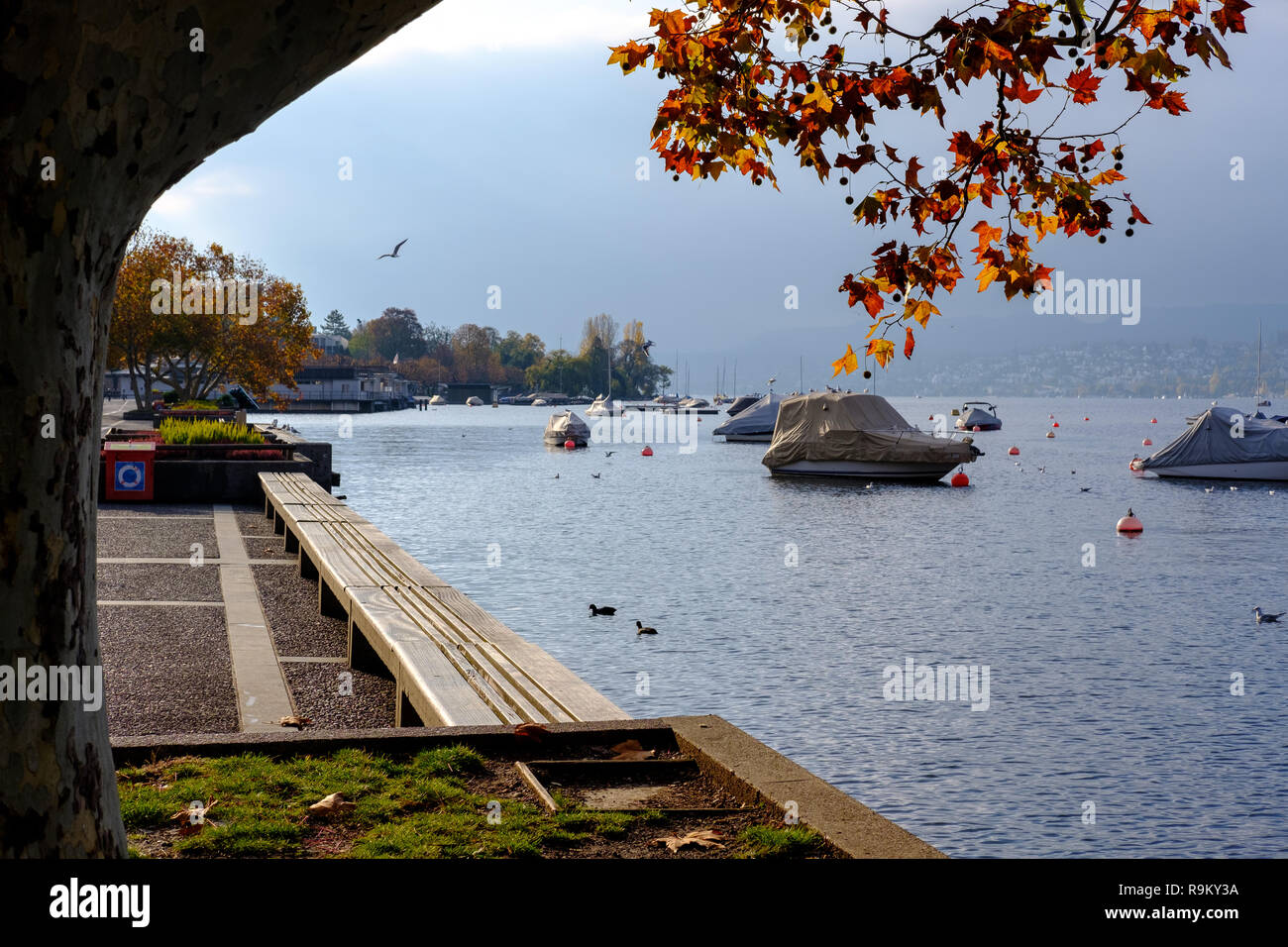 Boats near the shore of Lake Zurich, Zurich, Switzerland. in Fall 2018 Stock Photo