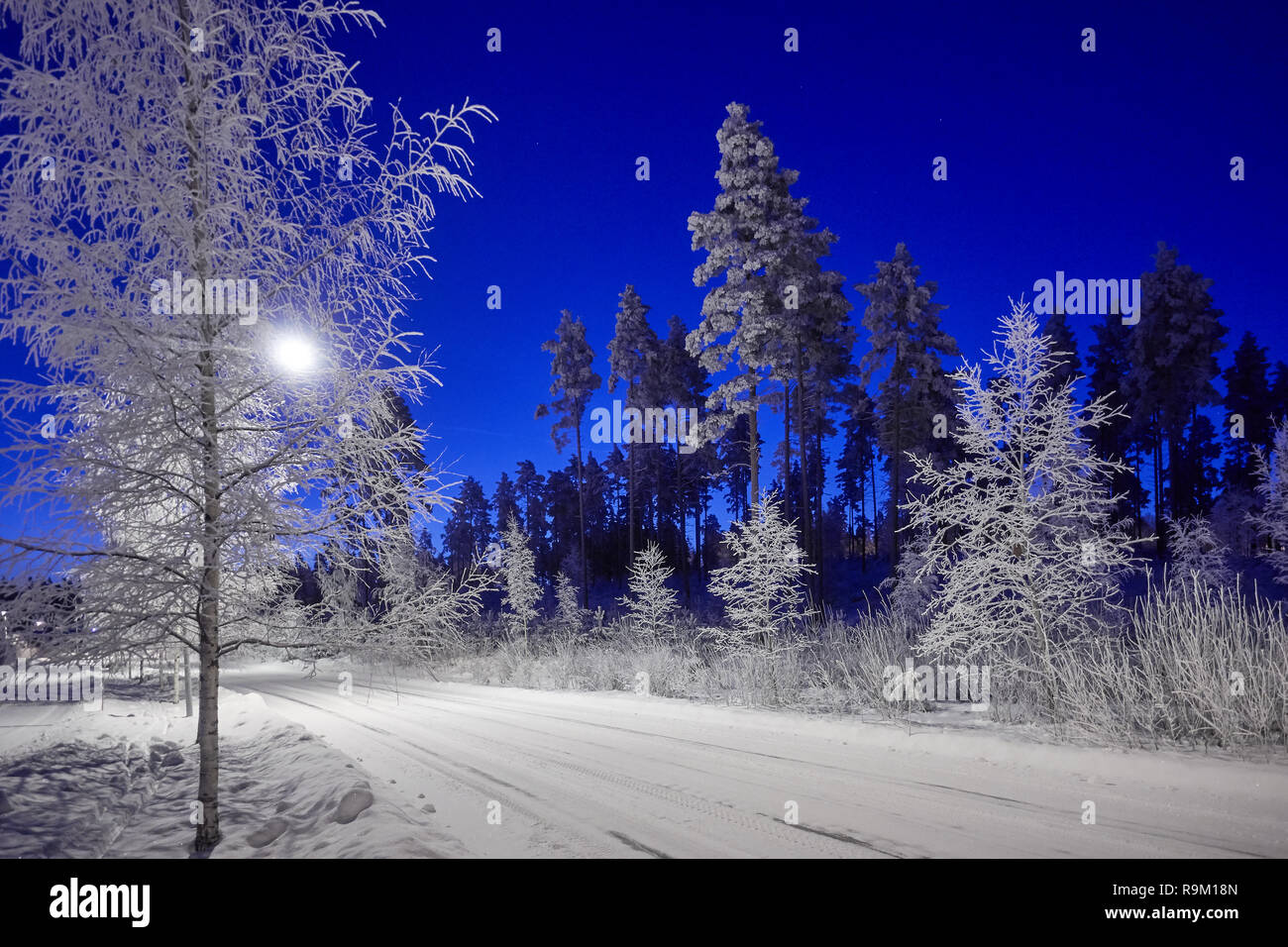 A road through peaceful winter night scene under beautiful blue sky. Snow cowered trees in very cold weather in Finland. Stock Photo