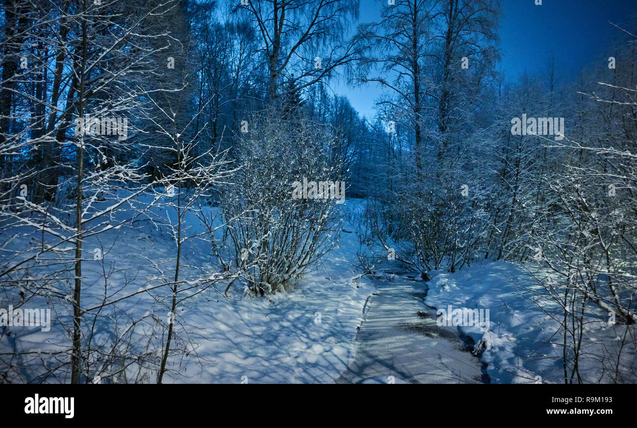Frozen creek in peaceful winter night  scene under beautiful blue sky. Snow cowered trees in very cold weather in Finland. Stock Photo
